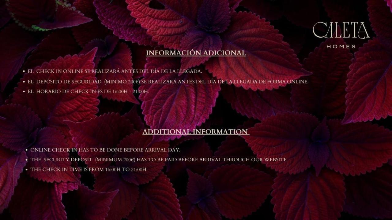 Caleta Homes - Ancha Del Carmen 马拉加 外观 照片